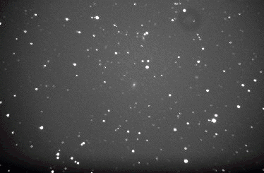 Example of a Supernovae